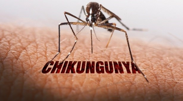 Karachi Disease