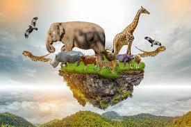 Wildlife Conservation: Success Stories and Ongoing Challenges